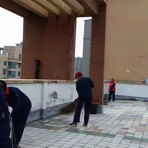 永明路办事处全域无垃圾清洁行动小结