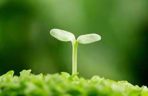 2020003新小一（3）班：不负相遇日，静待花开时