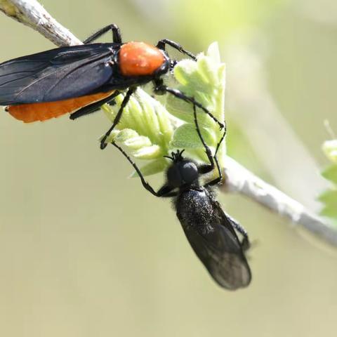 微观世界谁最美