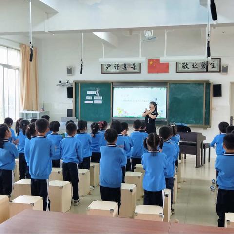 凝心聚力，打造音体美课堂新篇章——记新洲镇中心小学教学开放日活动