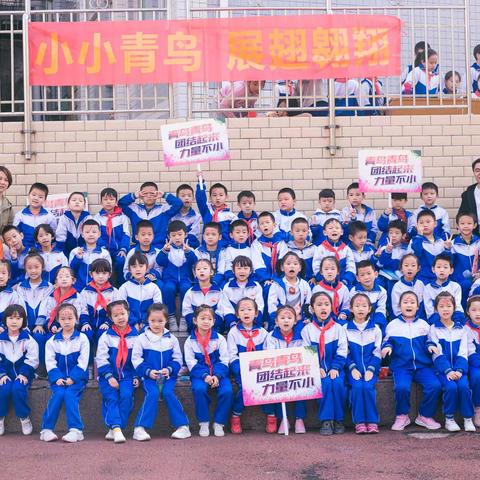 金色童年，运动风采