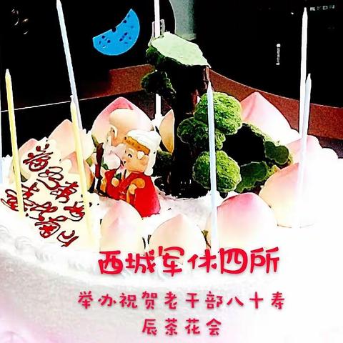 军休干部八十寿辰茶花会掠影