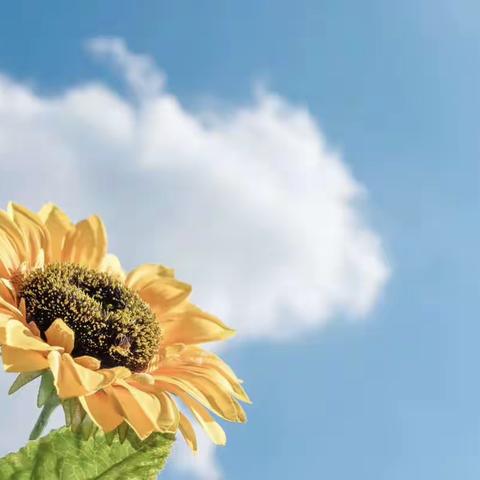 向下扎根，向上生长———江永县2023年暑期中小学班主任培训