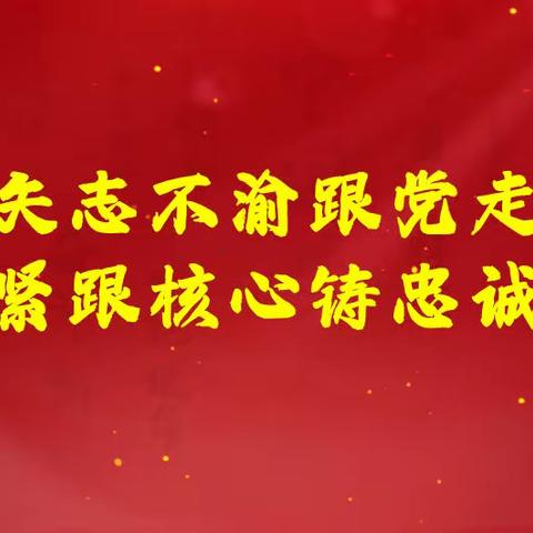 宝坻区税务局开展“矢志不渝跟党走 紧跟核心铸忠诚”主题党日活动