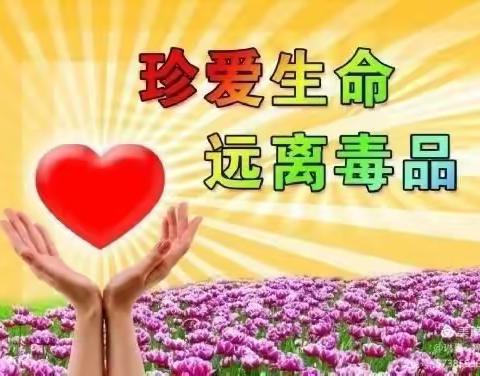 七里店幼儿园禁毒宣传小知识