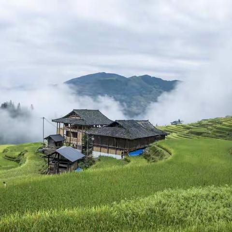 贵州摄影采风游  【一】