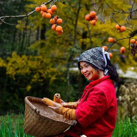 不平凡的2020年（下）