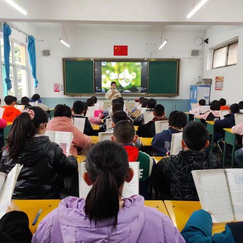 “儒雅书卷气 浓郁翰墨香”——紫坊小学三（3）班读书活动