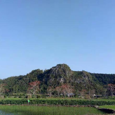 东方天安乡风景