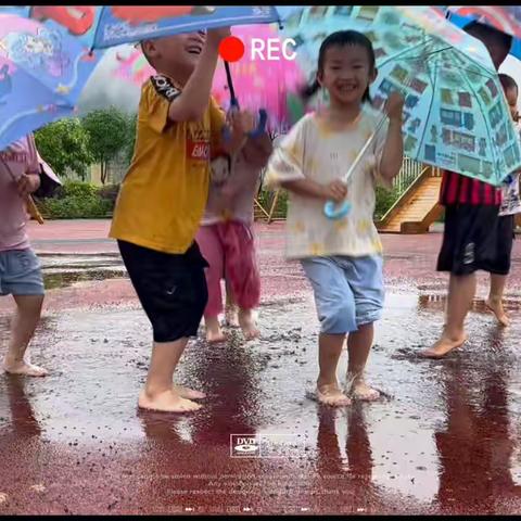 雨中游戏乐翻天——蕾蕾二班的自然课堂