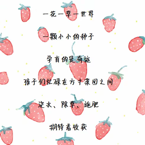 甜甜草莓🍓——青田县机关幼儿园小六班班本课程
