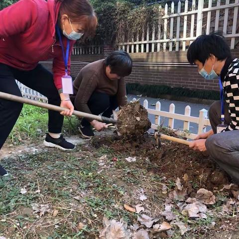 从青菜到饺子，星光二班的成长
