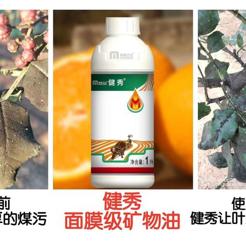 花椒叶、果表面煤污怎么除？