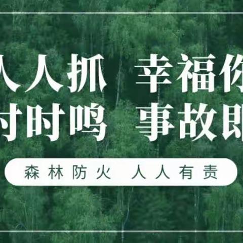 自治区林业和草原局防火处一行到我县调研森林草原防火工作