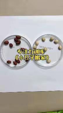 南苑小学幼儿园居家生活指导—12.9