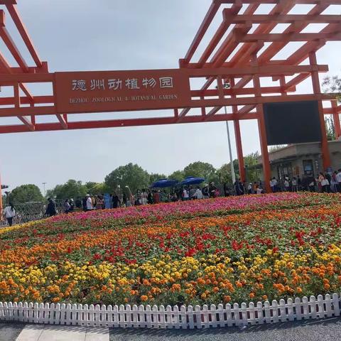 德州动植物园旅游记录