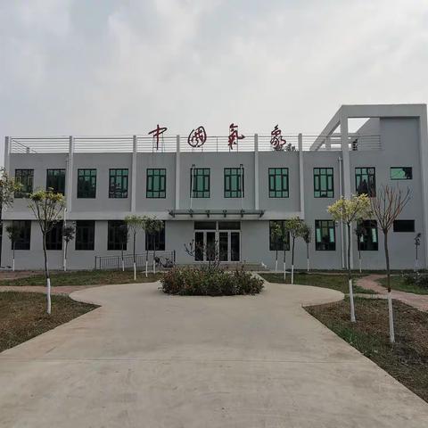 周末大扫除 单位换新颜