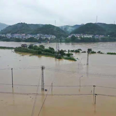 暴雨洪灾后的雪品“先行者”