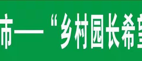 帮扶乡村园长，赋能乡村幼教—记“乡村园长希望+”公益项目娄底区域工作室“乡村幼儿园园长培训”第一期活动