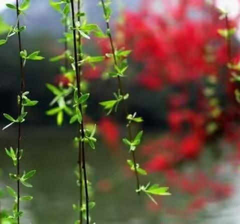 相约“云”上，相约春天