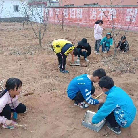 “春华秋实！体现劳动艰辛，享受成果快乐。”黄底小学劳动实践基地掠影