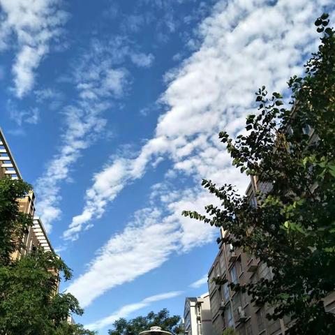 “铁腕治霾”我们在行动