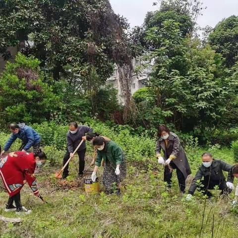 督导检查促创建  劳动教育显特色——莲塘小学开展劳动课程建设督查