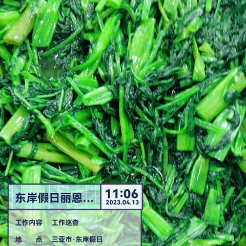 丽思卡尔顿宿舍项目2023年4月13日午餐出品