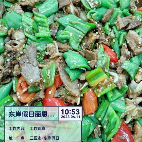 丽思卡尔顿宿舍项目2023年4月11日午餐出品