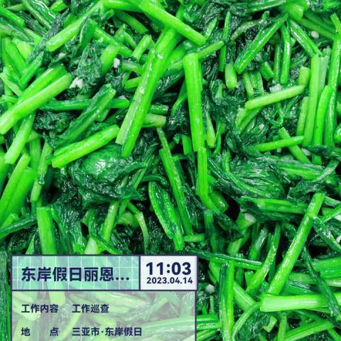 丽思卡尔顿宿舍项目2023年4月14日午餐出品