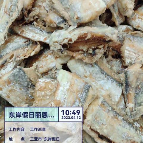 丽思卡尔顿宿舍项目2023年4月12日午餐出品