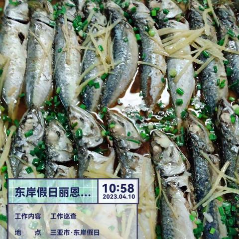 丽思卡尔顿宿舍项目2023年4月10日午餐出品