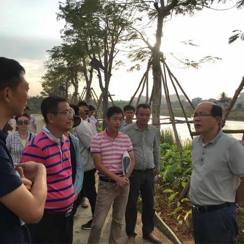 冯鸿浩副主席检查美舍河湿地公园各项建设收尾工作及亮化提升工程