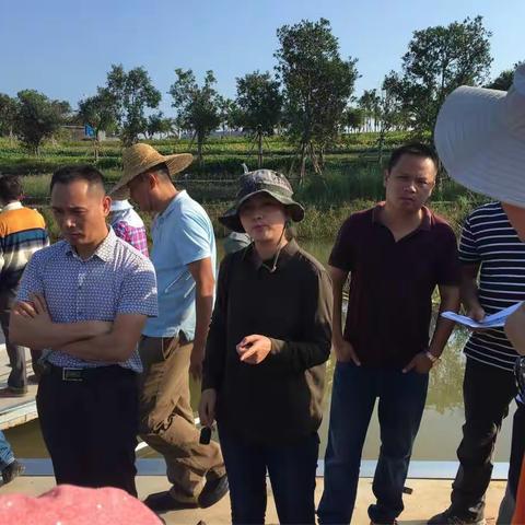 市治水办王亚琴组长协调解决凤翔公园湿地人工湖栈道问题