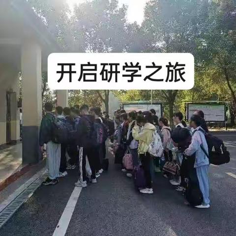 高成初级中学七（9）班贺欣云