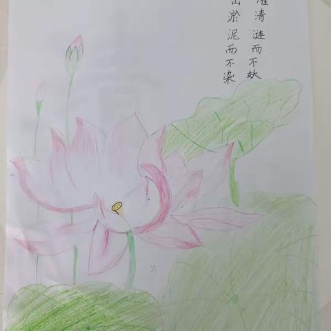 实验小学五（4）班彭可馨