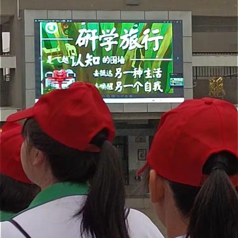 社会实践报告：感受美丽自然，弘扬中华精神