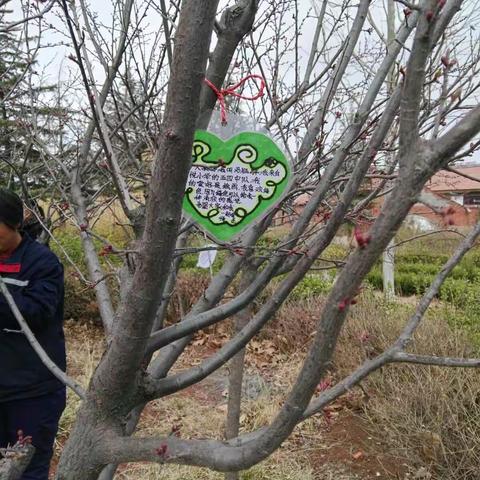 争做树木的守护者 ——贾悦小学家校互动“爱树护绿”活动剪影