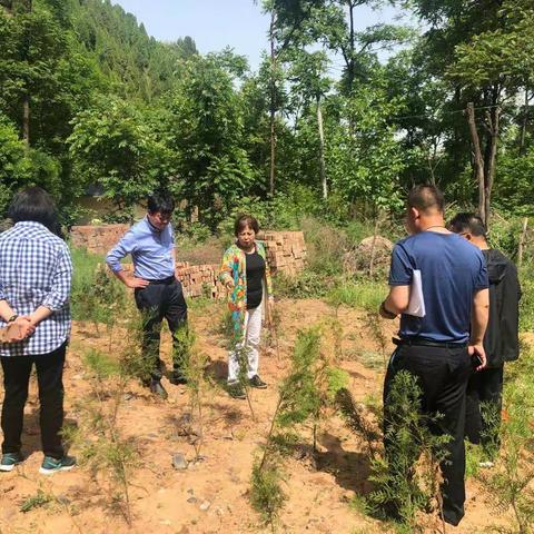 市资源规划局对临潼区易地扶贫搬迁旧宅基地腾退复绿工作进行检查复核