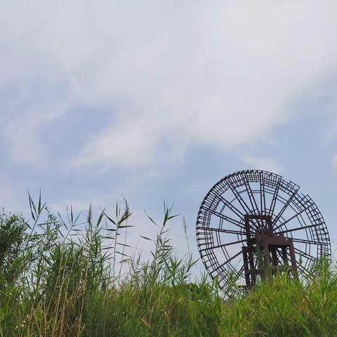 蒋幼琳同学的2023暑假生活