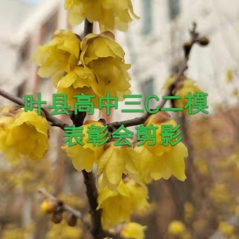 金玉良言的美篇