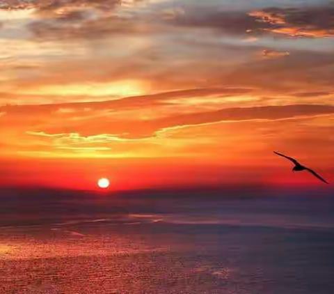 迎着朝阳，勇敢飞翔！1723   非同一般！           一一秋季运动会点点滴滴