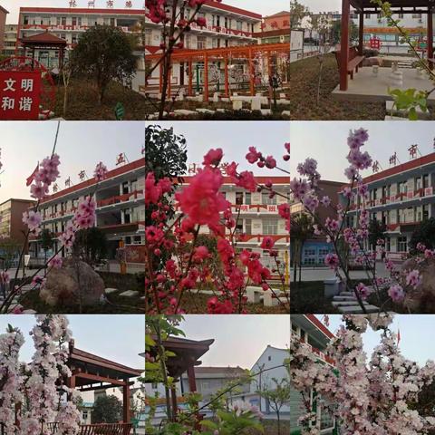 家校携手齐奋发，和谐共赢筑梦想——林州市市直第五小学组织召开家长会