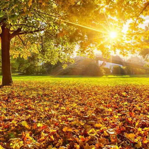 2019年6月第二期读书分享（总第8期）