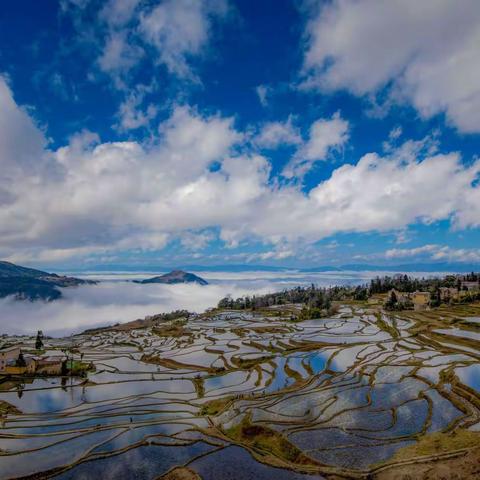 印象梯田