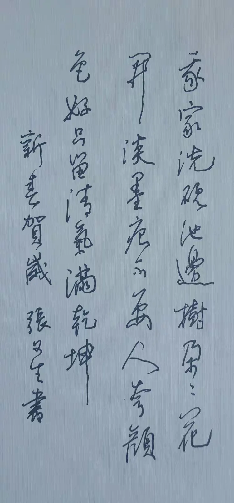 回望青春一一张文生书法作品