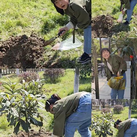 “春回大地万物苏，植树种花正当时”—南浔锦绣学校四年级劳动主题教育之植树种花篇