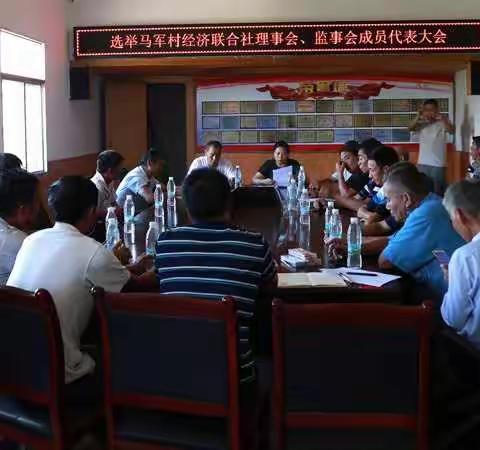 建水县马军村委会成立经济联合社