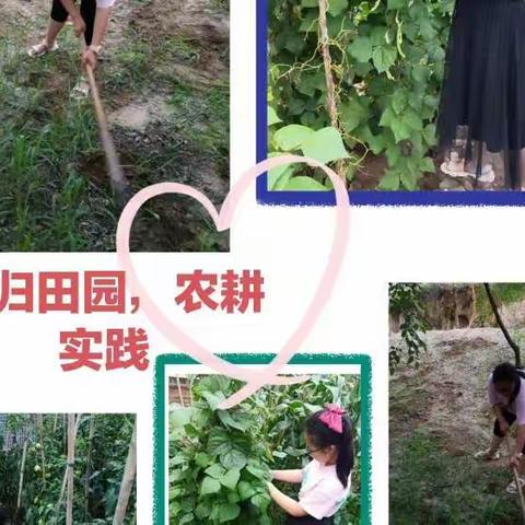 李晓冉的暑假生活