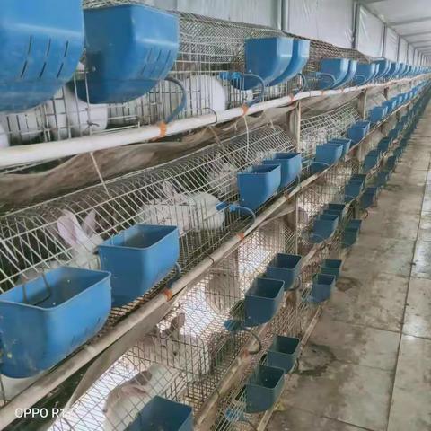 助力乡村振兴，解农户燃眉之急